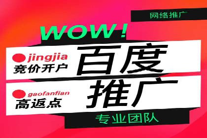 专业SEM托管服务成功案例分享